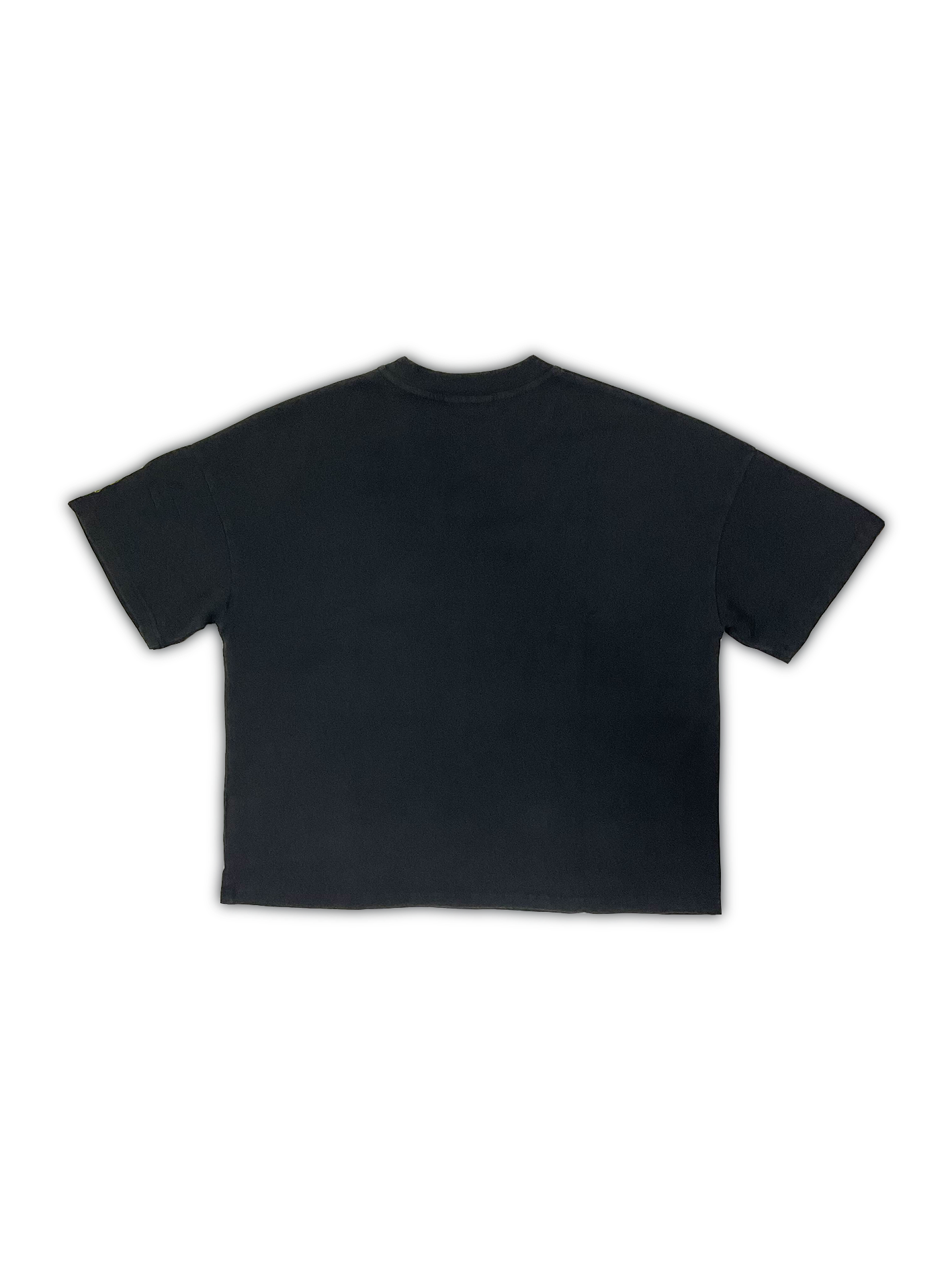 PIGMENTED LIMONITE T-SHIRT